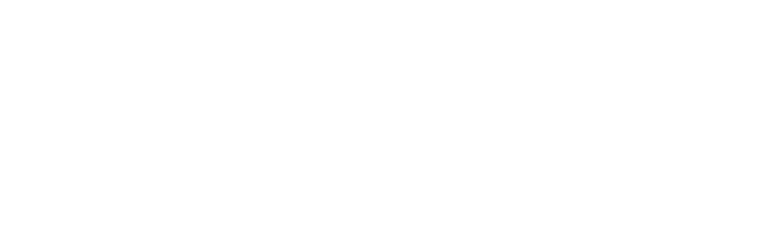 2D9A6548